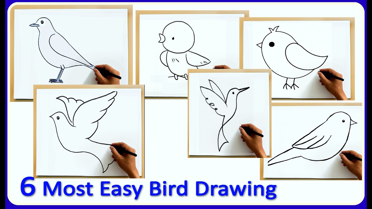 Easy Bird Drawing for Kids || How to Draw Bird for Kids (6 types of easy Bird Drawing)